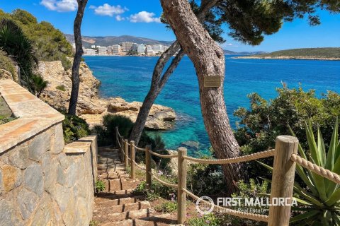 Penthouse à louer à Cala Vinyes, Mallorca, Espagne, 3 chambres, 200 m2 No. 164309 - photo 22