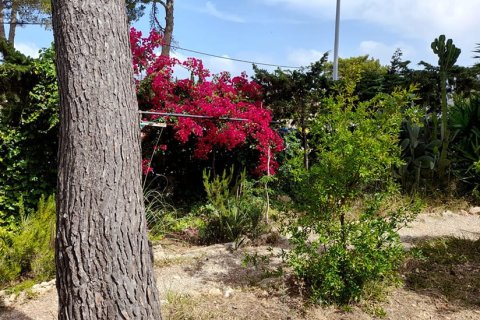 Huvila myytävänä Santa Ponsa, Mallorca, Espanja, 4 makuuhuonetta, 207 m2 No. 154674 - kuva 5