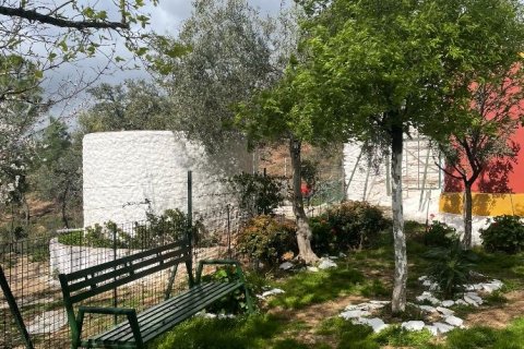Land zum Verkauf in Zalamea la Real, Huelva, Spanien 55000 m2 Nr. 172404 - Foto 15
