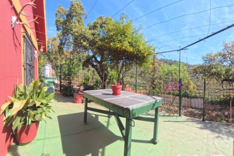 Land zum Verkauf in Zalamea la Real, Huelva, Spanien 55000 m2 Nr. 172404 - Foto 29