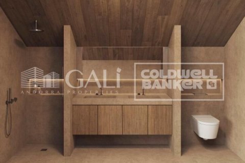 Villa zum Verkauf in Principado De Andorra (Ninguna Poblacion Tiene C.P.), Lleida, Spanien 5 Schlafzimmer, 443 m2 Nr. 156763 - Foto 5
