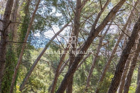 Land plot in Lloret de Mar, Girona, Spain 2138 sq.m. No. 177257