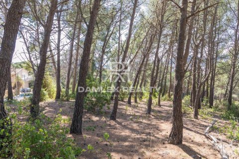 Land plot for sale in Lloret de Mar, Girona, Spain 2138 sq.m. No. 177257 - photo 2