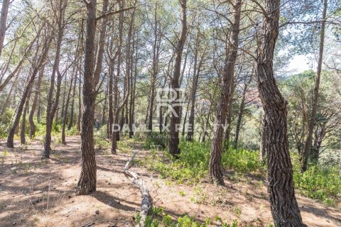 Land plot for sale in Lloret de Mar, Girona, Spain 2138 sq.m. No. 177257 - photo 3