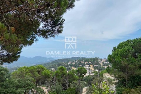 Villa à vendre à Lloret de Mar, Girona, Espagne, 4 chambres, 187 m2 No. 177256 - photo 15