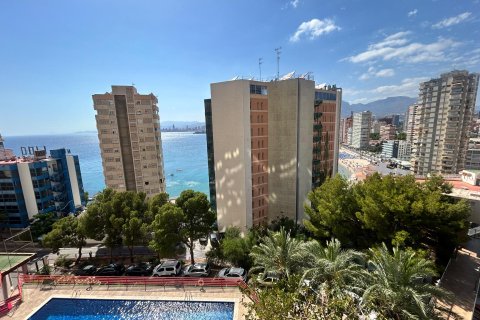 Dzīvoklis pārdošanā Benidorm, Alicante, Spānijā 3 istabas, 93 m2 Nr. 177506 - attēls 13
