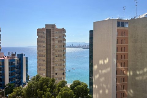 Dzīvoklis Benidorm, Alicante, Spānijā 3 istabas, 93 m2 Nr. 177506