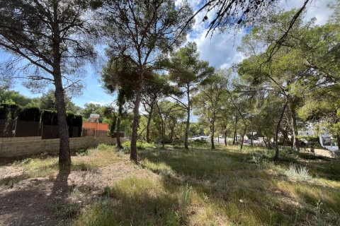 Land plot for sale in Santa Ponsa, Mallorca, Spain 1188 sq.m. No. 138704 - photo 1
