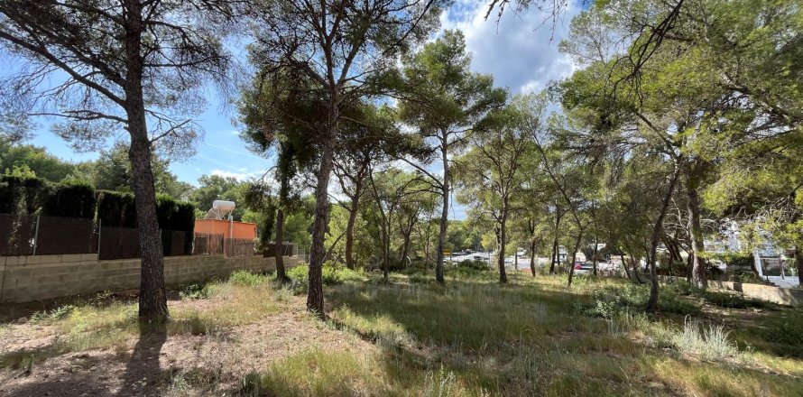 Land plot in Santa Ponsa, Mallorca, Spain 1188 sq.m. No. 138704