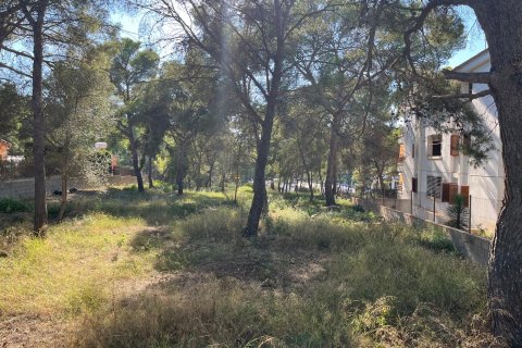 Land zum Verkauf Santa Ponsa, Mallorca, Spanien 1188 m2 Nr. 138704 - Foto 1