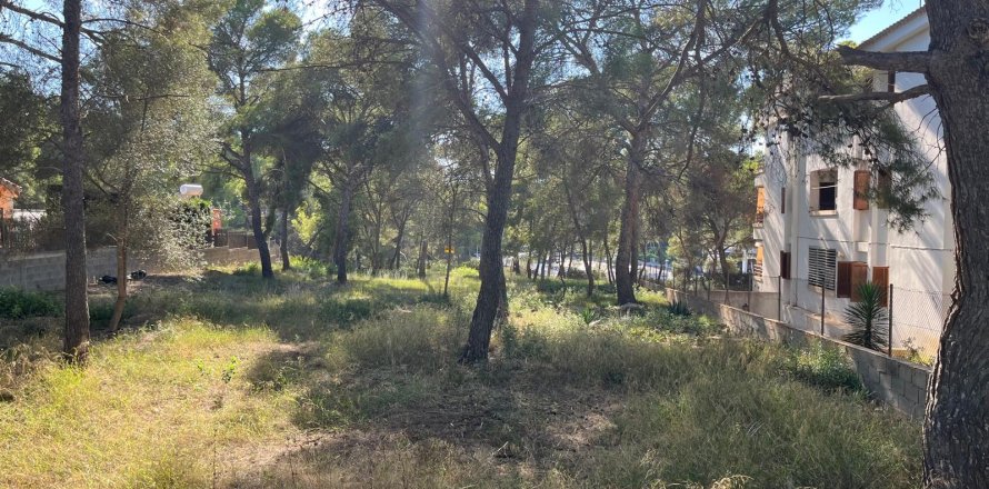 Land Santa Ponsa, Mallorca, Spanien 1188 m2 Nr. 138704