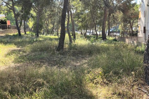 Land zum Verkauf Santa Ponsa, Mallorca, Spanien 1188 m2 Nr. 138704 - Foto 3