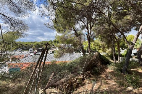Land plot for sale in Santa Ponsa, Mallorca, Spain 1188 sq.m. No. 138704 - photo 4