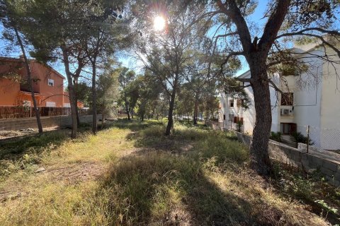 Land zum Verkauf Santa Ponsa, Mallorca, Spanien 1188 m2 Nr. 138704 - Foto 2