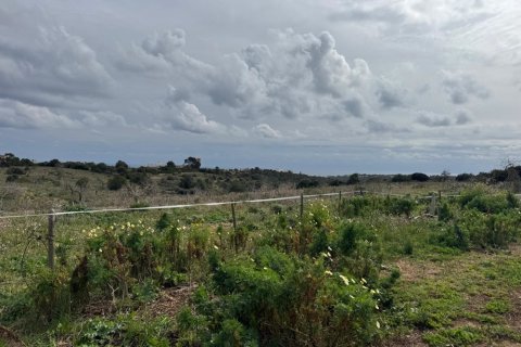 Tontti myytävänä Algaida, Mallorca, Espanja ,  No. 109859 - kuva 5