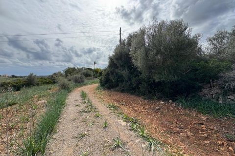 Tontti myytävänä Algaida, Mallorca, Espanja ,  No. 109859 - kuva 10