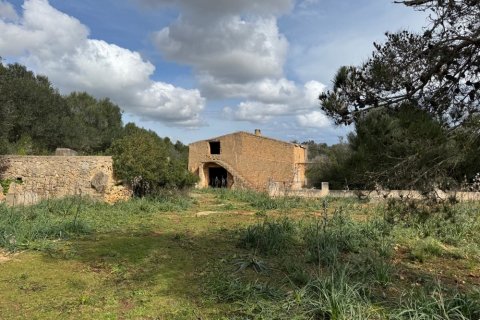 Tontti myytävänä Algaida, Mallorca, Espanja ,  No. 109859 - kuva 3