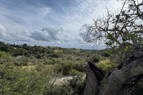 Tontti myytävänä Algaida, Mallorca, Espanja ,  No. 109859 - kuva 7