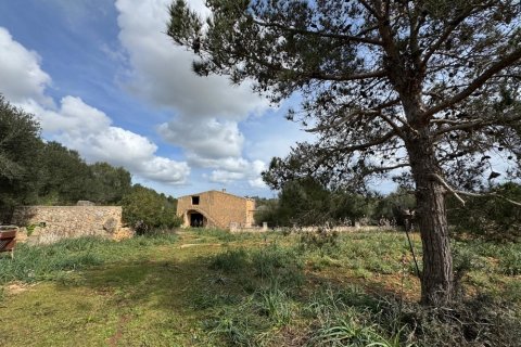 Tontti myytävänä Algaida, Mallorca, Espanja ,  No. 109859 - kuva 2