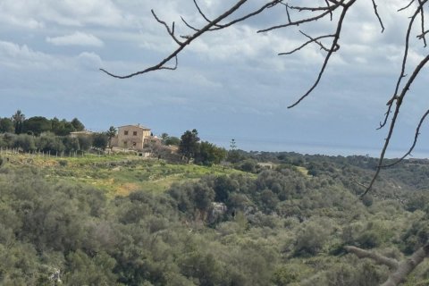 Tontti myytävänä Algaida, Mallorca, Espanja ,  No. 109859 - kuva 4