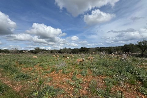 Tontti myytävänä Algaida, Mallorca, Espanja ,  No. 109859 - kuva 1