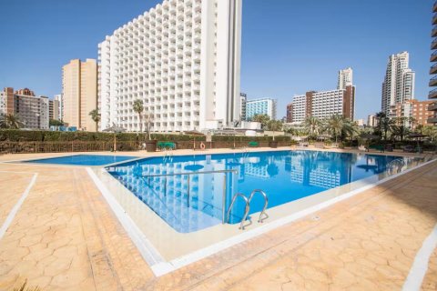 Apartamento en alquiler en Benidorm, Alicante, España 1 dormitorio, 55 m2 No. 165850 - foto 5