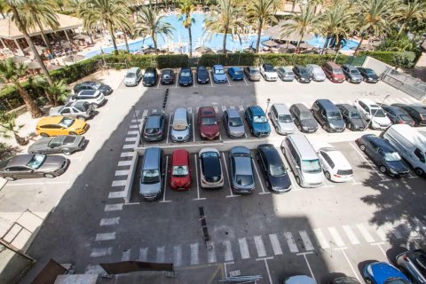 Apartamento en alquiler en Benidorm, Alicante, España 1 dormitorio, 55 m2 No. 165850 - foto 18