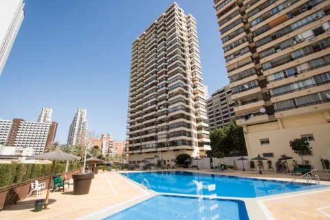 Apartamento en alquiler en Benidorm, Alicante, España 1 dormitorio, 55 m2 No. 165850 - foto 15