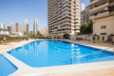 Apartamento en alquiler en Benidorm, Alicante, España 1 dormitorio, 55 m2 No. 165850 - foto 17