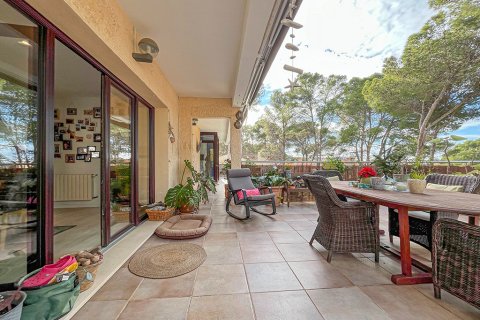 Villa for sale in Costa De La Calma, Mallorca, Spain 4 bedrooms, 351 sq.m. No. 148148 - photo 21