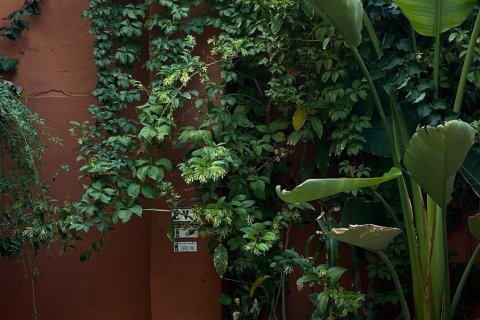 Lägenhet för uthyrning Palma de Majorca, Mallorca, Spanien 2 sovrum, 135 kvm. Nr. 139414 - foto 15