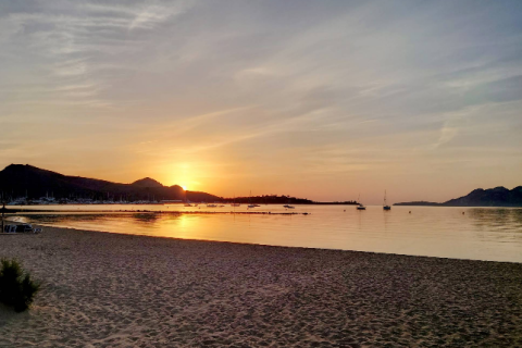 Commercial property for rent in Pollenca, Mallorca, Spain 299 sq.m. No. 160607 - photo 11