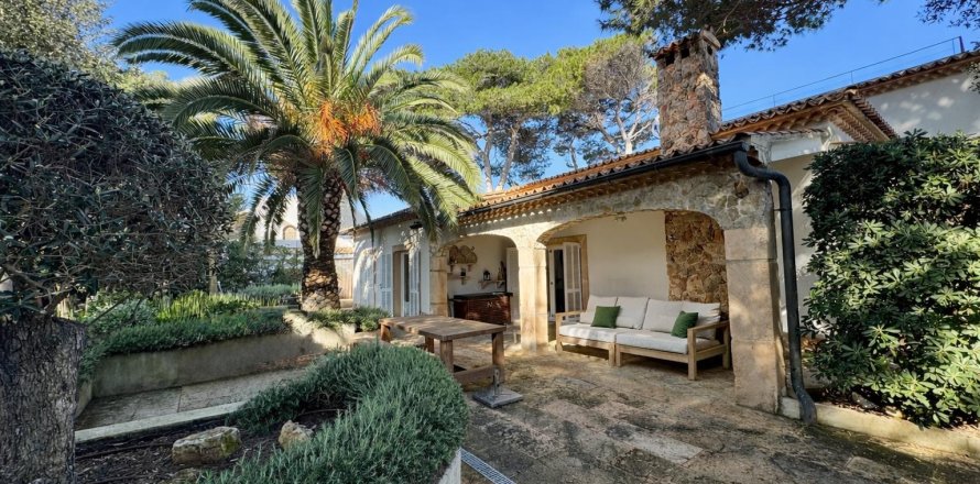 Huvila Platja De Muro, Mallorca, Espanja 4 makuuhuonetta, 229 m2 No. 160606