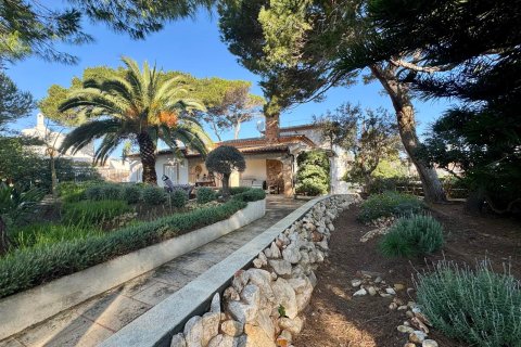 Huvila myytävänä Platja De Muro, Mallorca, Espanja, 4 makuuhuonetta, 229 m2 No. 160606 - kuva 18