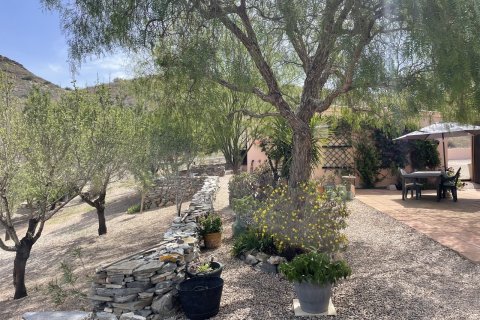 Finca for sale in Cartagena, Murcia, Spain 4 bedrooms, 213 sq.m. No. 189417 - photo 12