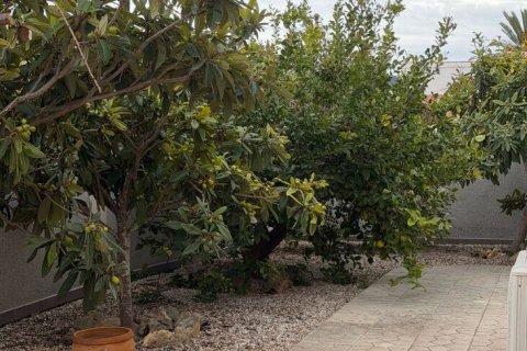 Villa pārdošanā Playa Flamenca II, Alicante, Spānijā 5 istabas, 130 m2 Nr. 188889 - attēls 16