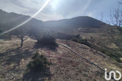 Land plot for sale in Almeria, Spain 32999 sq.m. No. 186016 - photo 20