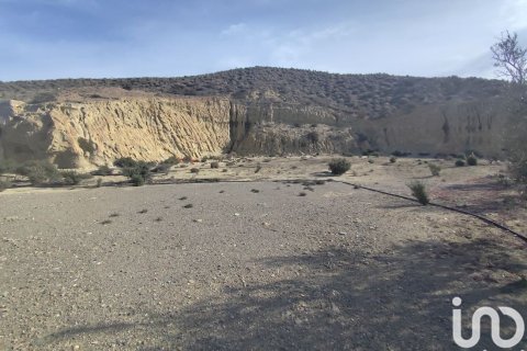 Land plot for sale in Almeria, Spain 32999 sq.m. No. 186016 - photo 4