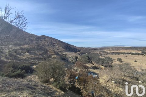 Land plot for sale in Almeria, Spain 32999 sq.m. No. 186016 - photo 26