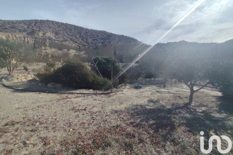 Land plot for sale in Almeria, Spain 32999 sq.m. No. 186016 - photo 24