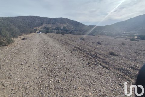 Land plot for sale in Almeria, Spain 32999 sq.m. No. 186016 - photo 17