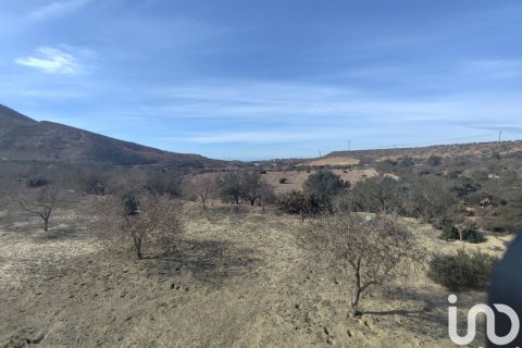 Land plot for sale in Almeria, Spain 32999 sq.m. No. 186016 - photo 29