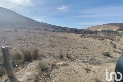 Land plot for sale in Almeria, Spain 32999 sq.m. No. 186016 - photo 18