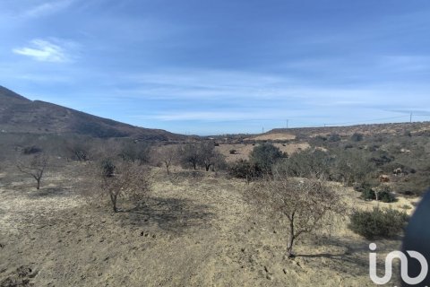 Land plot for sale in Almeria, Spain 32999 sq.m. No. 186016 - photo 28