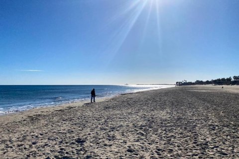 Dzīvoklis pārdošanā Pilar de la Horadada, Alicante, Spānijā 2 istabas, 66 m2 Nr. 147046 - attēls 13