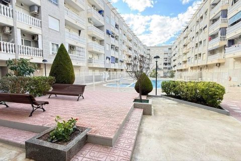 Apartment à vendre à Torrevieja, Alicante, Espagne, 1 chambre, 50 m2 No. 195340 - photo 27