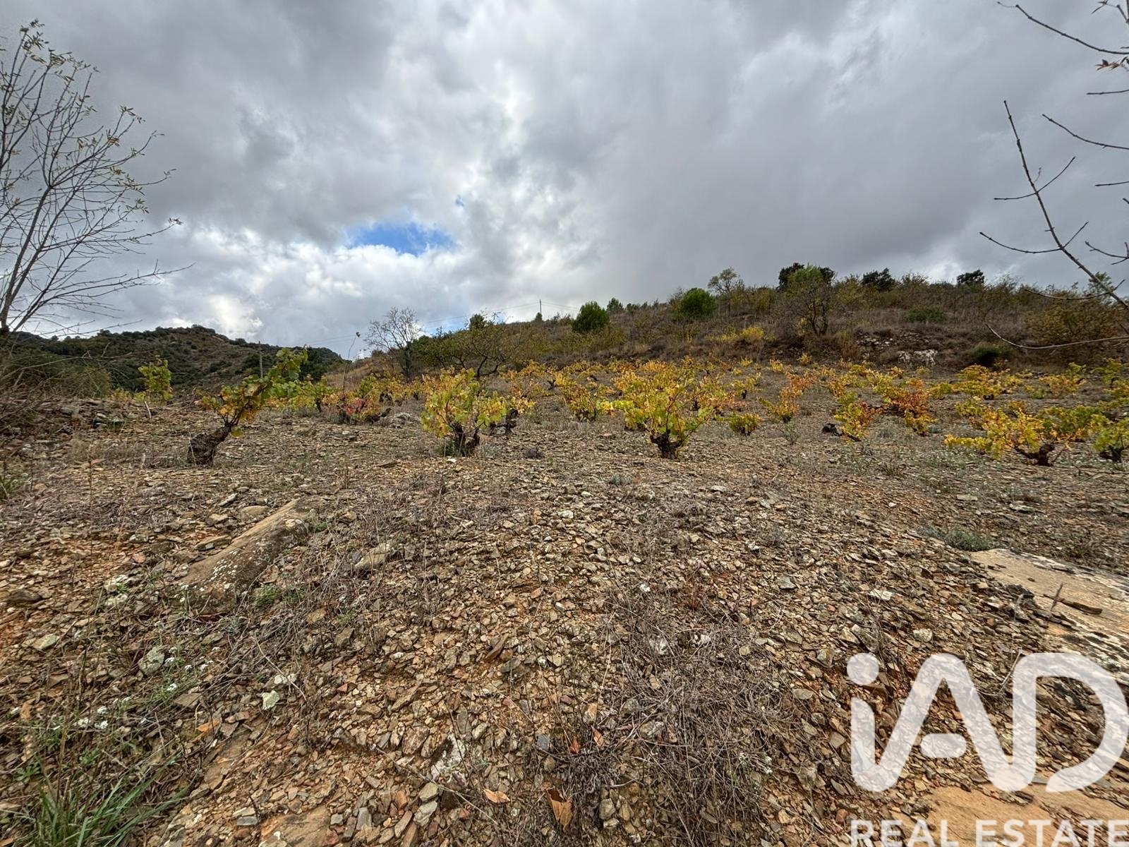 Land plot in Tarragona, Spain 16506 sq.m. No. 185532