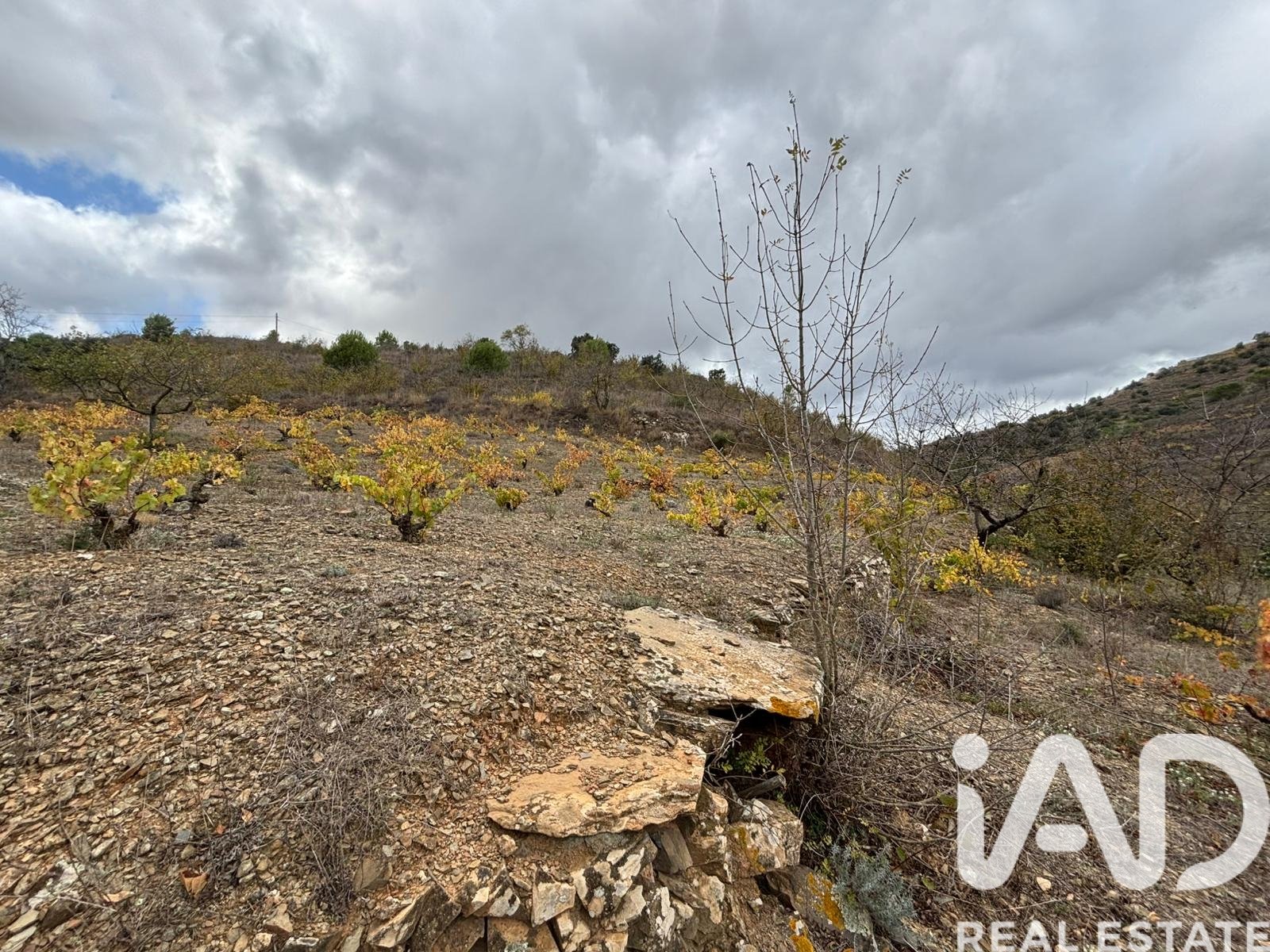Land plot in Tarragona, Spain 16506 sq.m. No. 185532