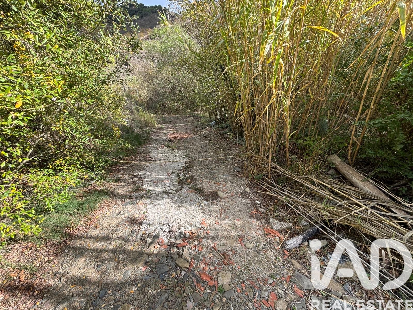 Land plot in Tarragona, Spain 16506 sq.m. No. 185532