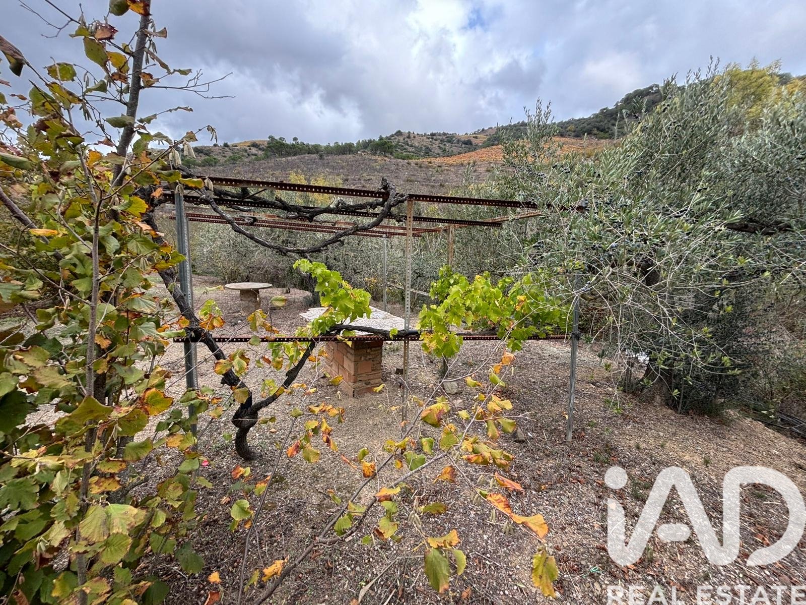 Land plot in Tarragona, Spain 16506 sq.m. No. 185532